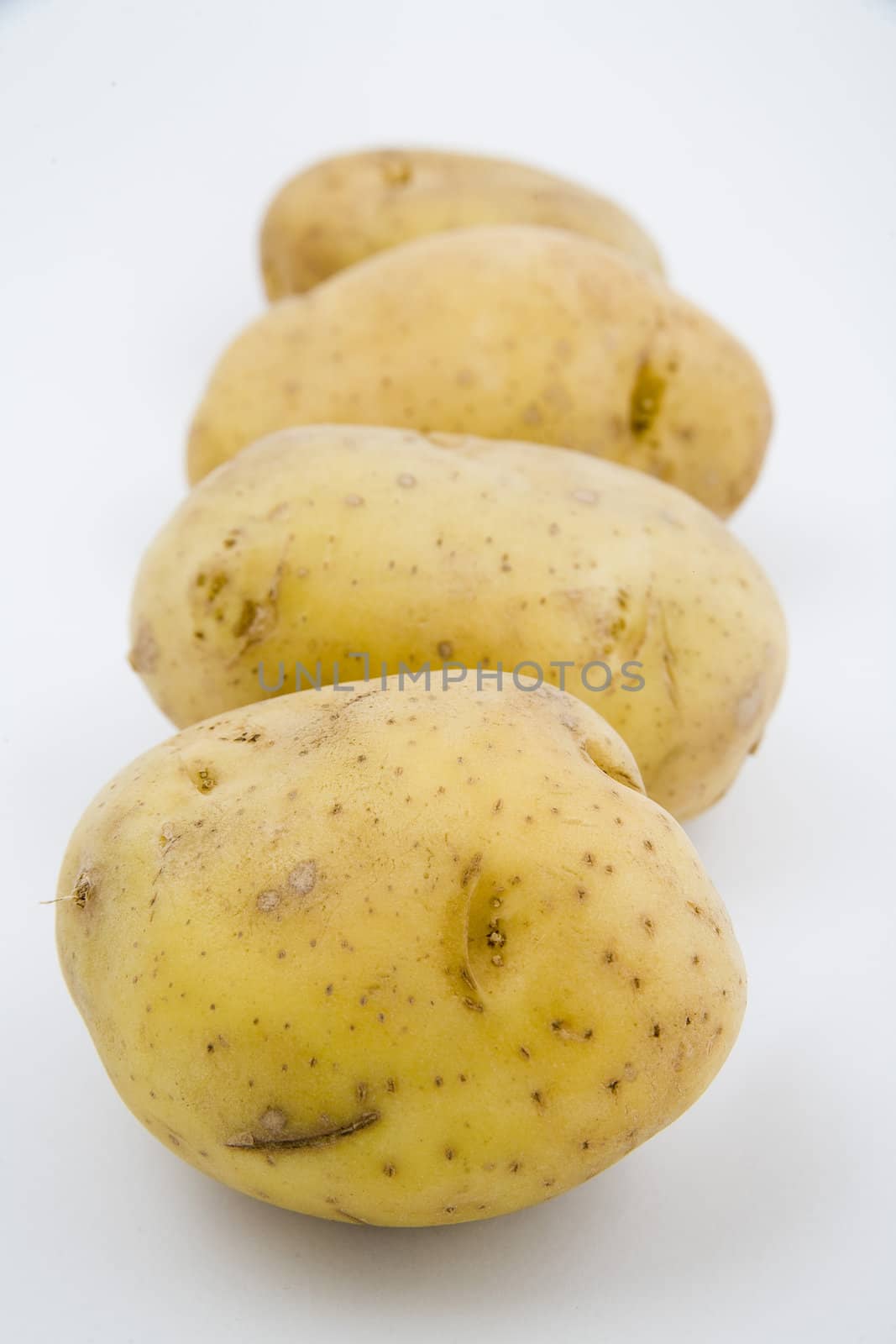 four young potatoes with gentle shadow on natural background