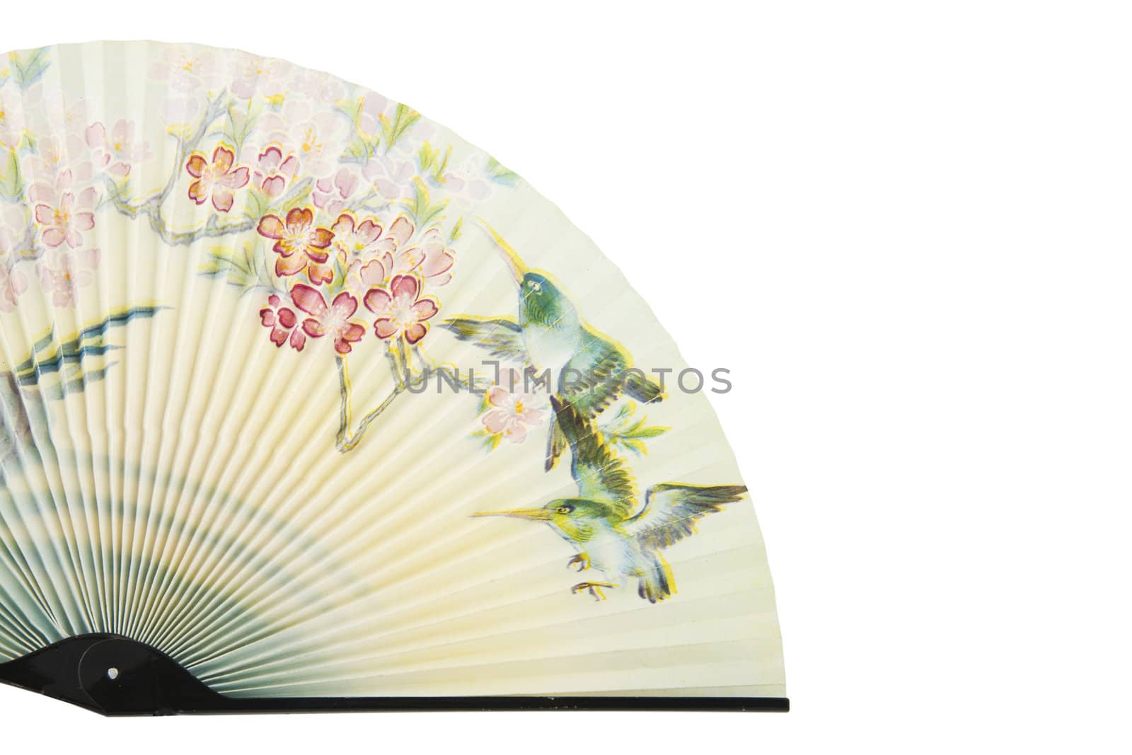 asian fan isolated on white background