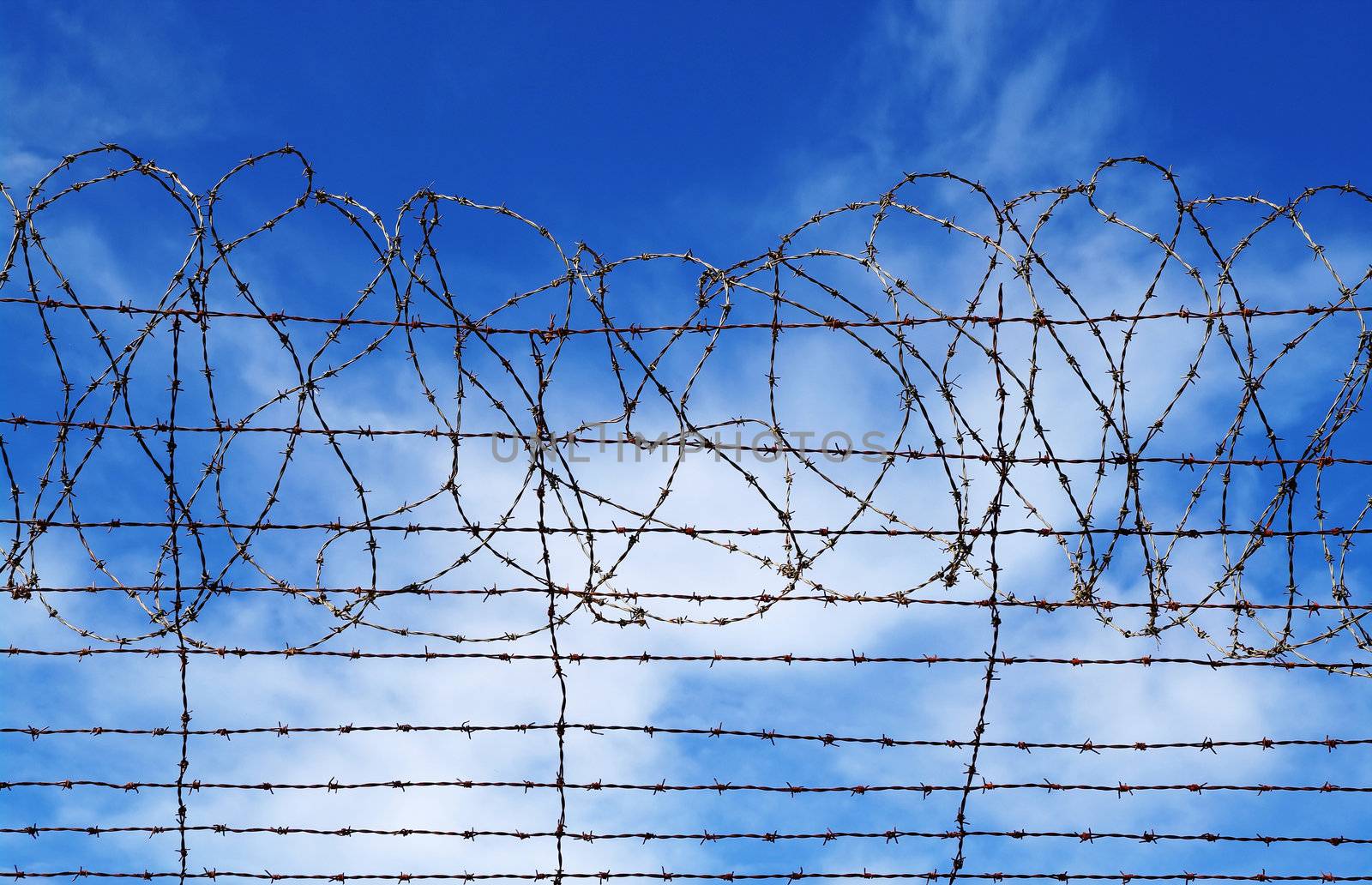 excellent image of barbed wire rolls in front of blue sky 