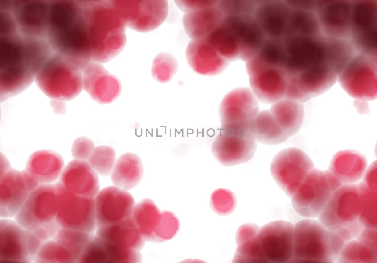 brightly backlit red cells on white background under the microscope