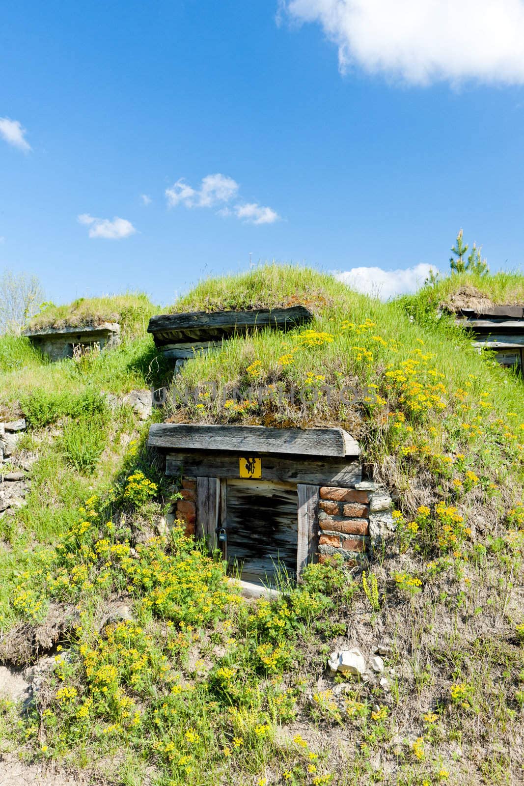 cellaars in Liptovska Teplicka, Slovakia
