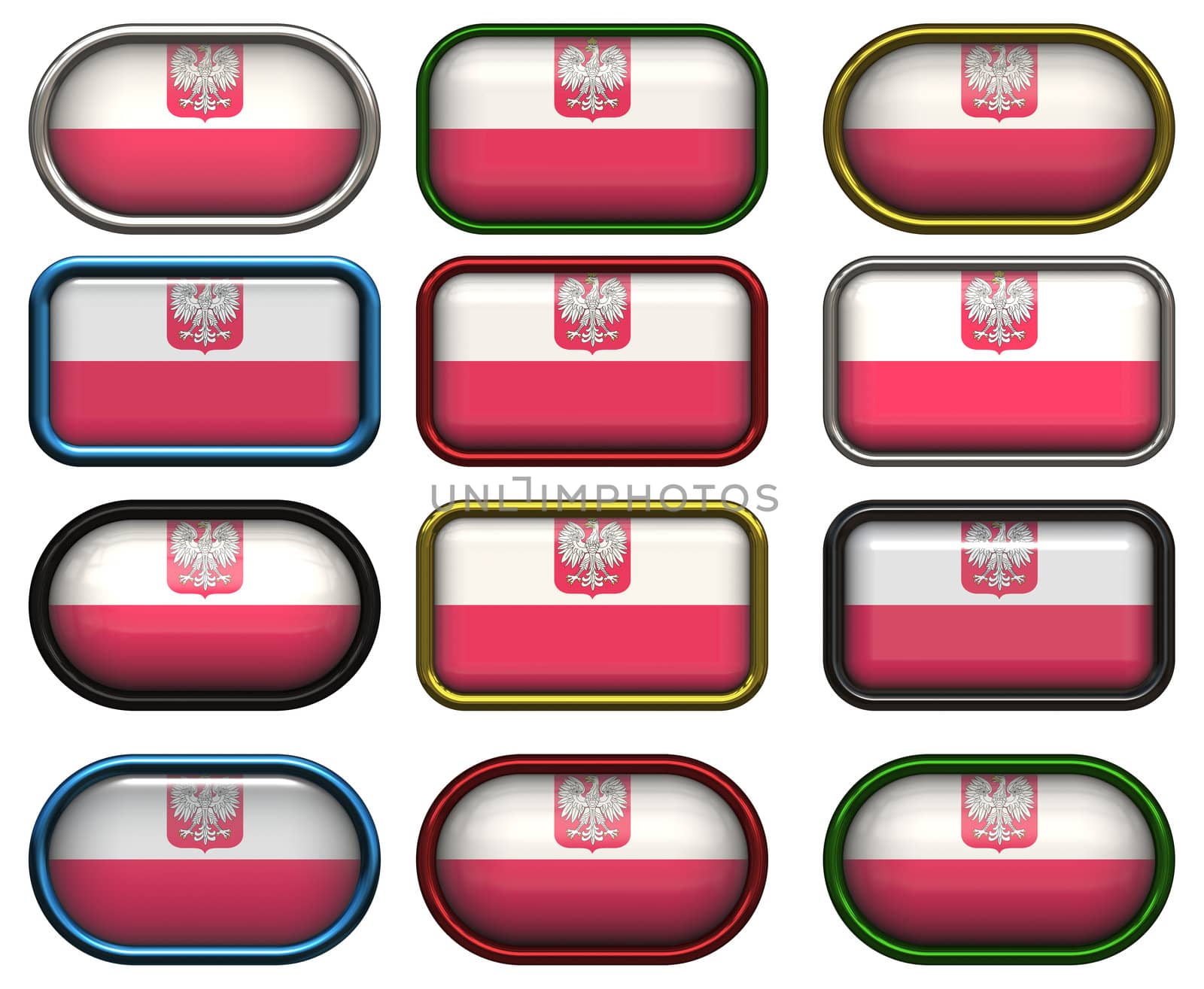 twelve Great buttons of the Flag of Poland