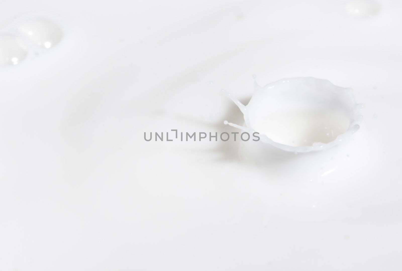a drop splash of withe liquid or milk