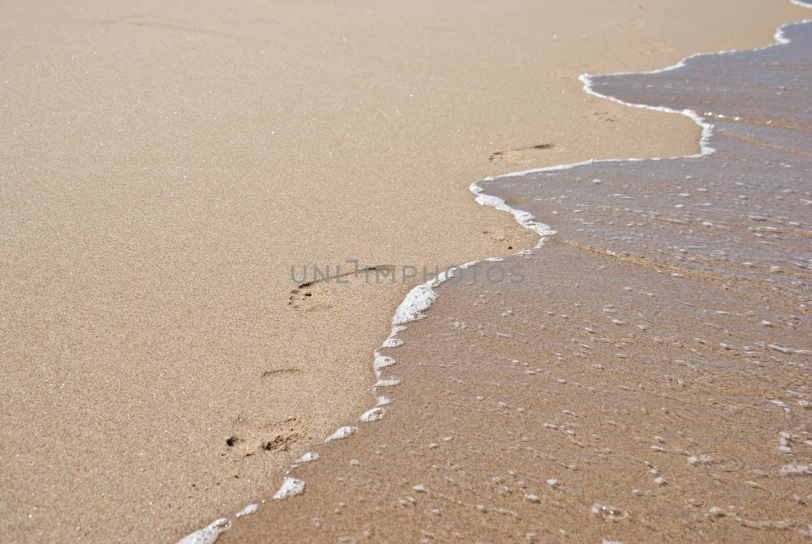 footprints walk along the very edge of the water