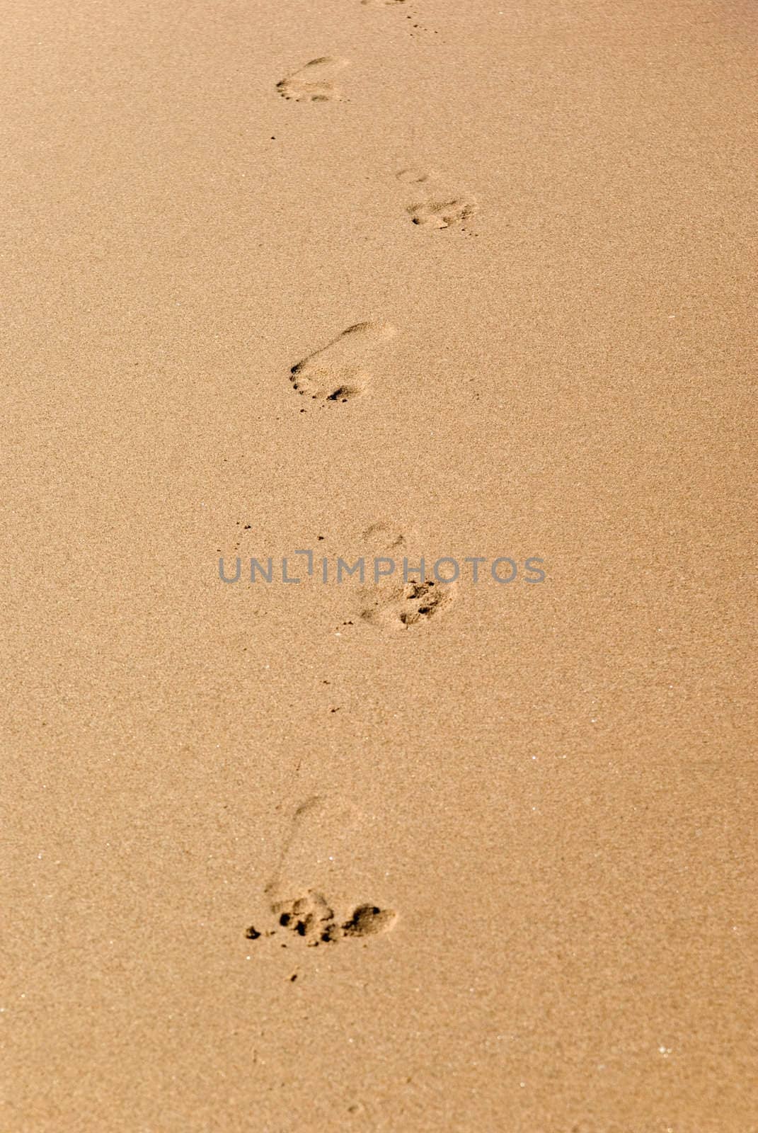 footprints on the beach coming towards the camera