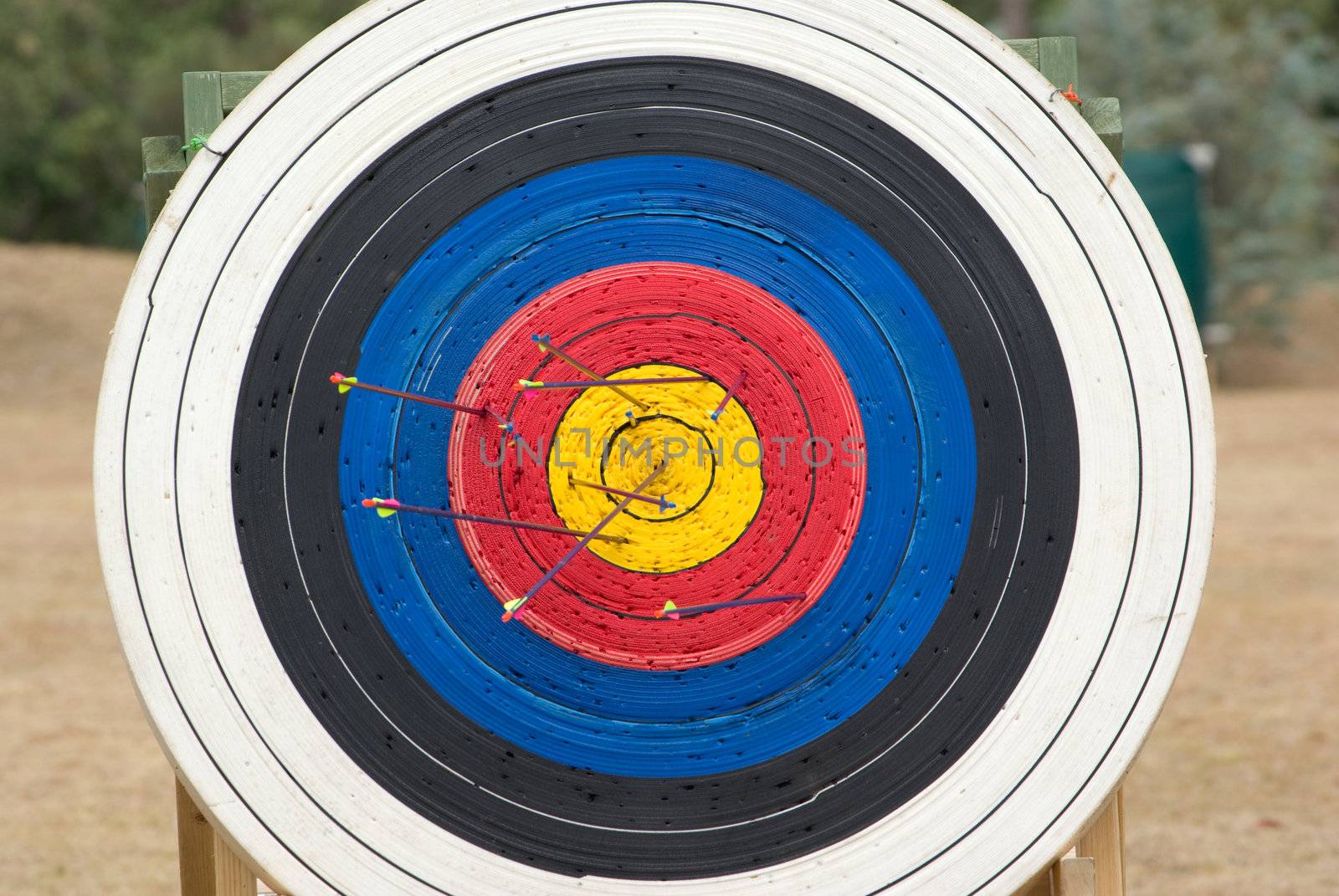 image of an archery target full of arrows