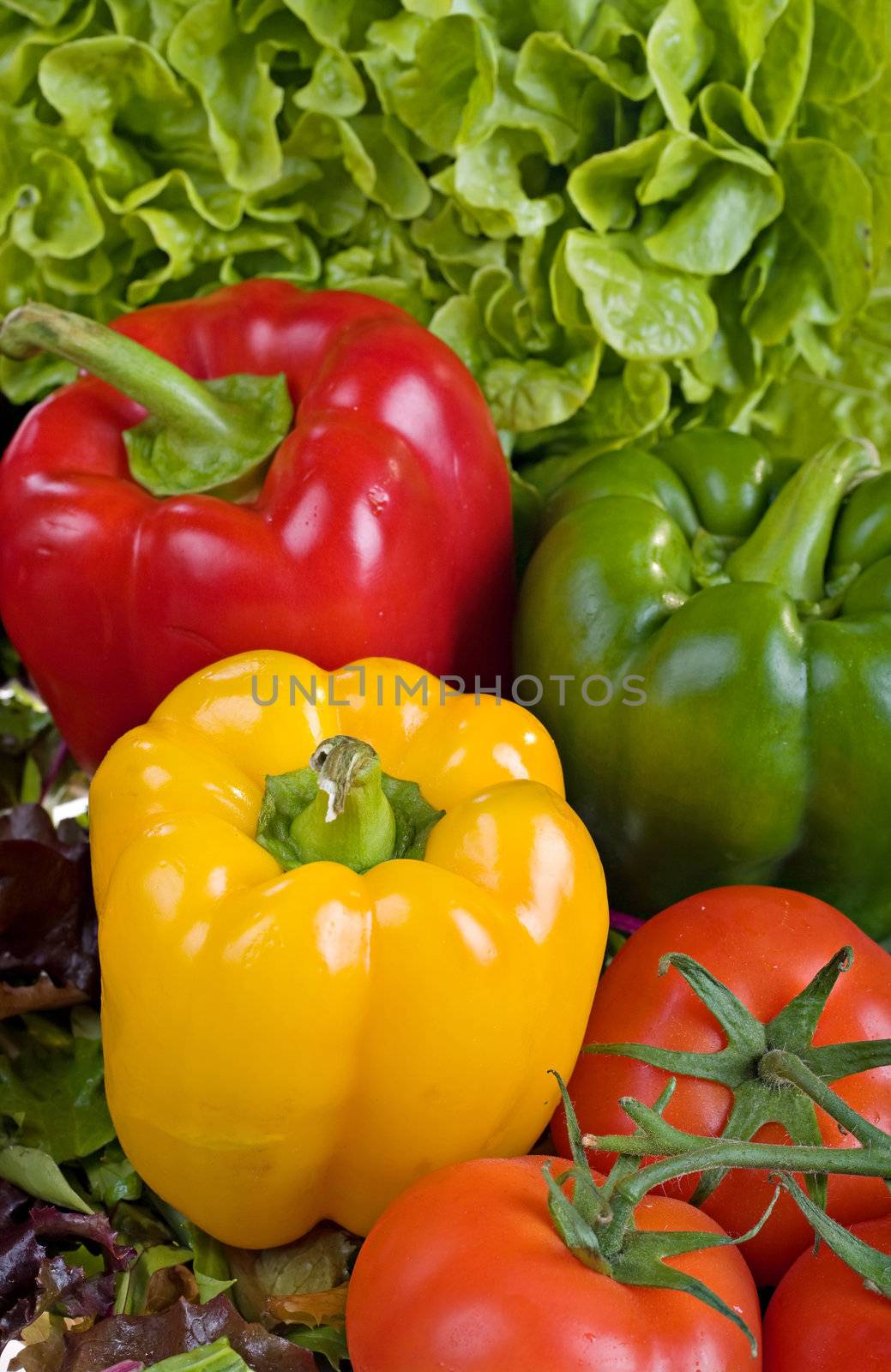 image of lots of nice fresh vegetables from the garden