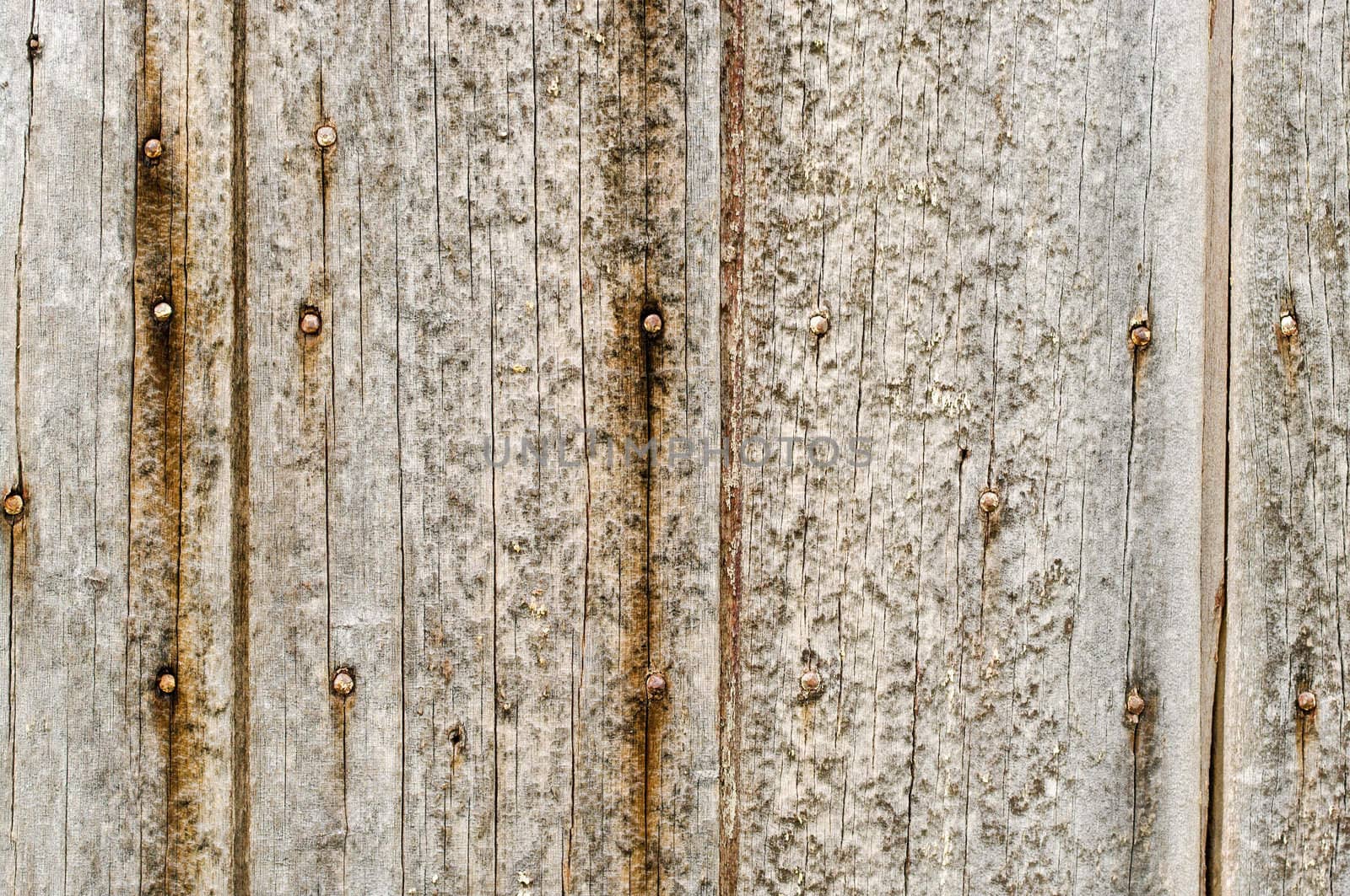 great background texture of old grungy wood