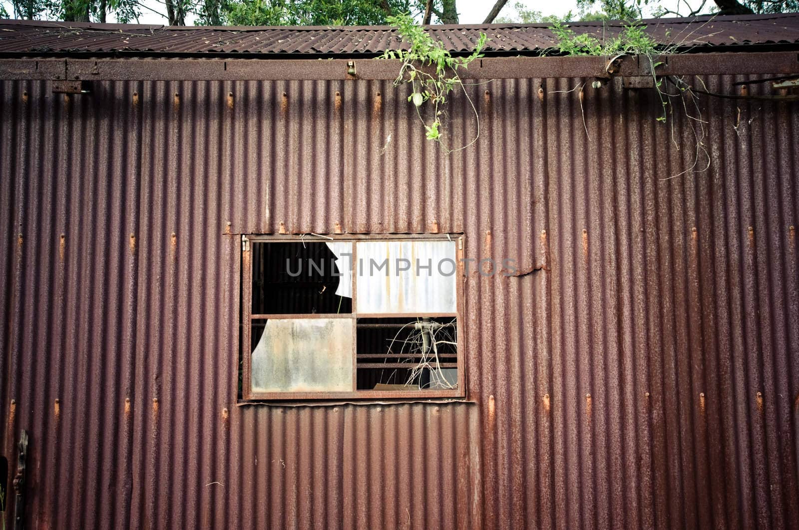 old rusty corrugated iron or tin shed building