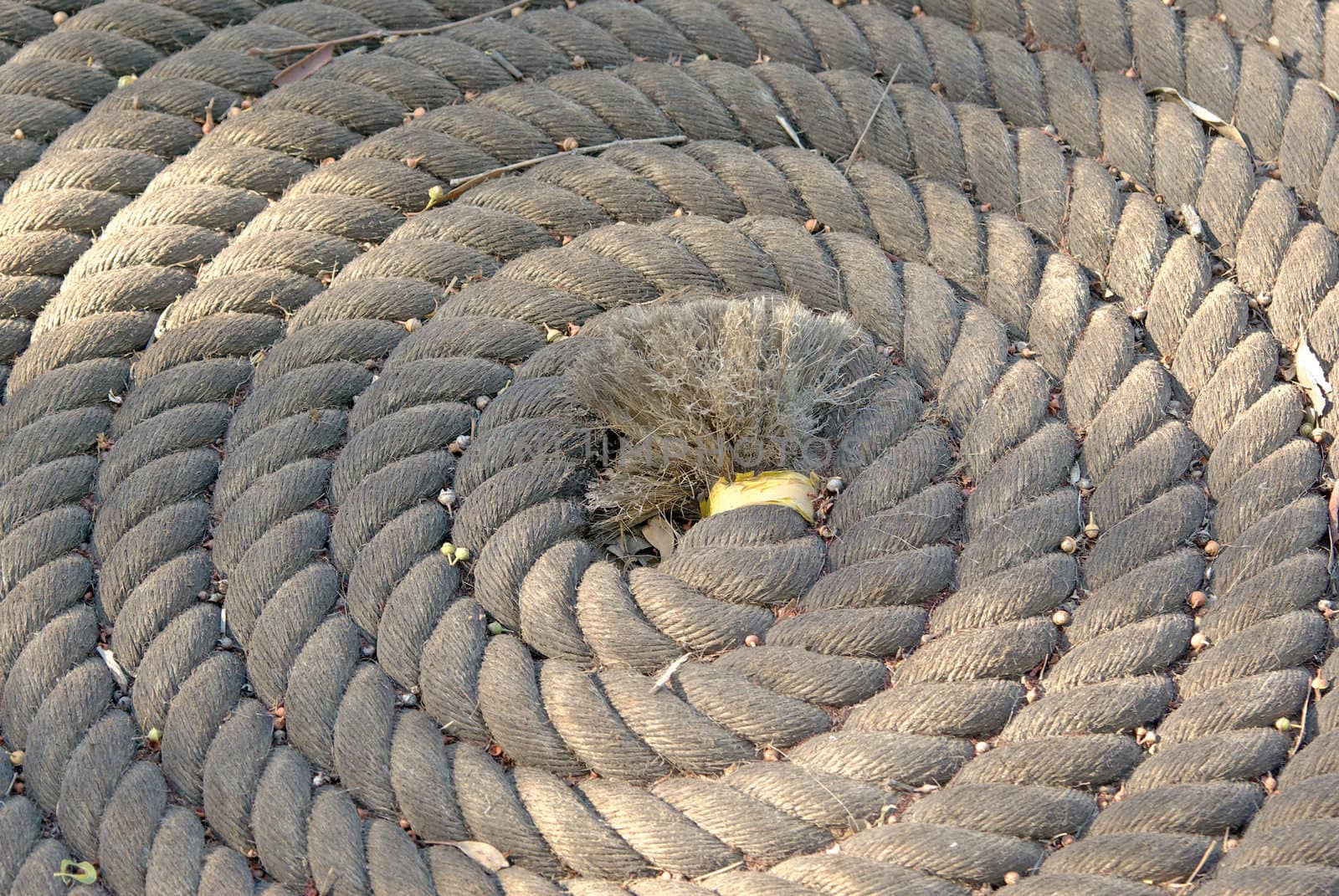 a big rope rolled into a tight coil