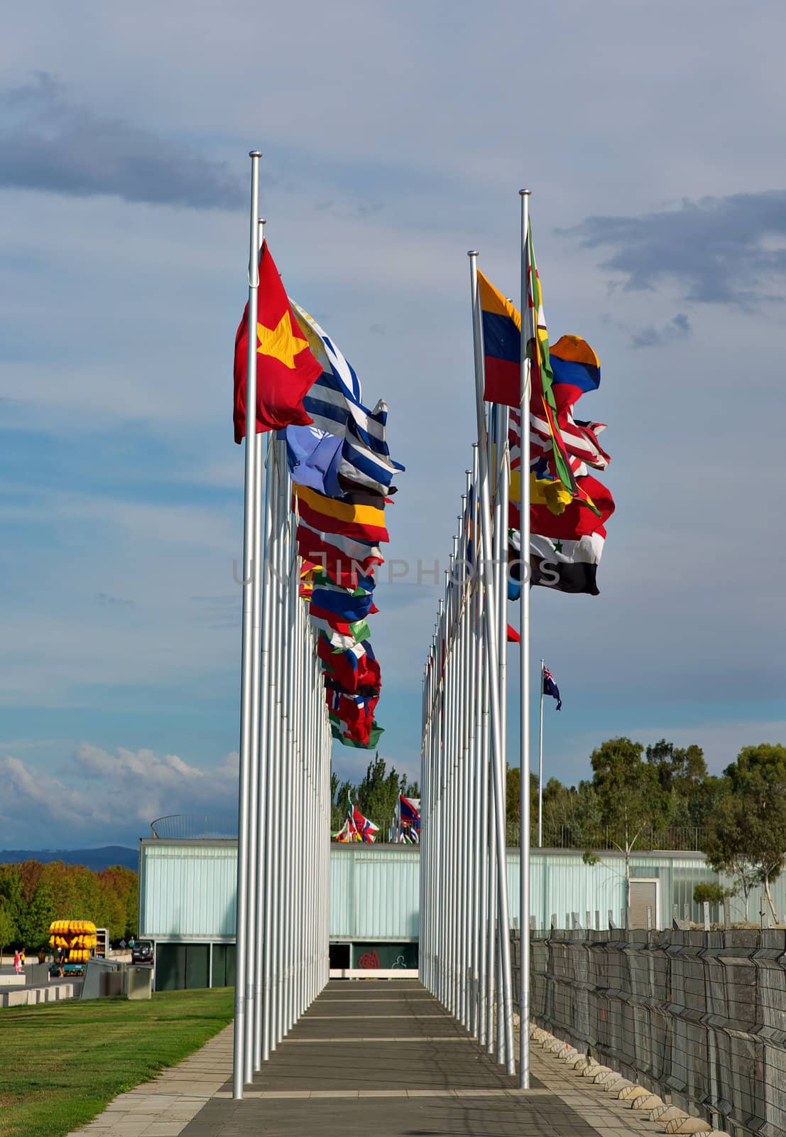 flags of the world flapping in the wind