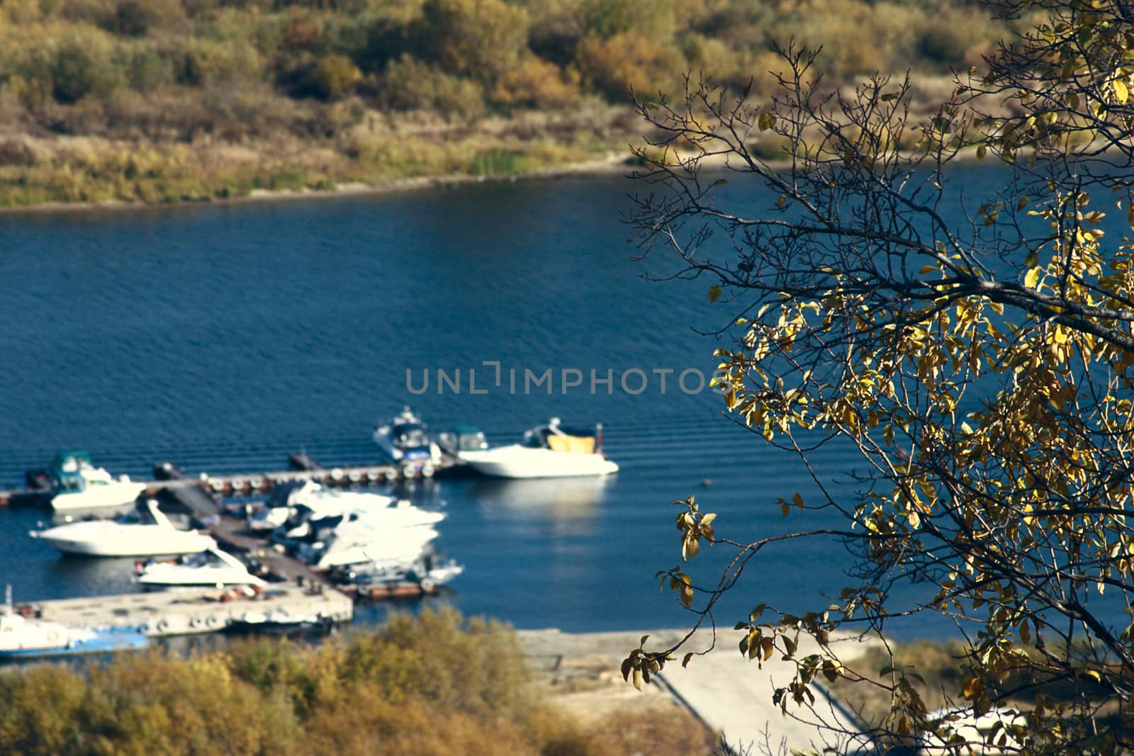 Autumn branch of a tree against the river and boat station