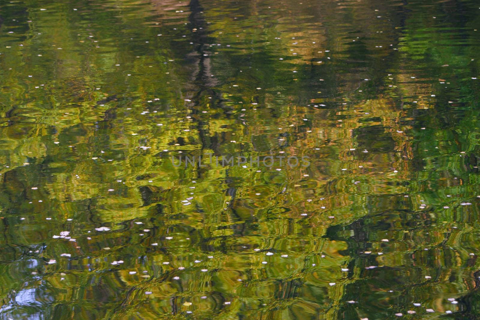 Reflexion of autumn in water going waves removed close up