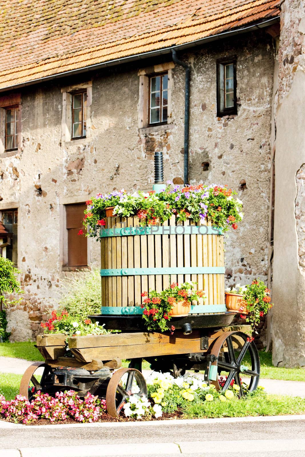 wine-press, Chatenois, Alsace, France