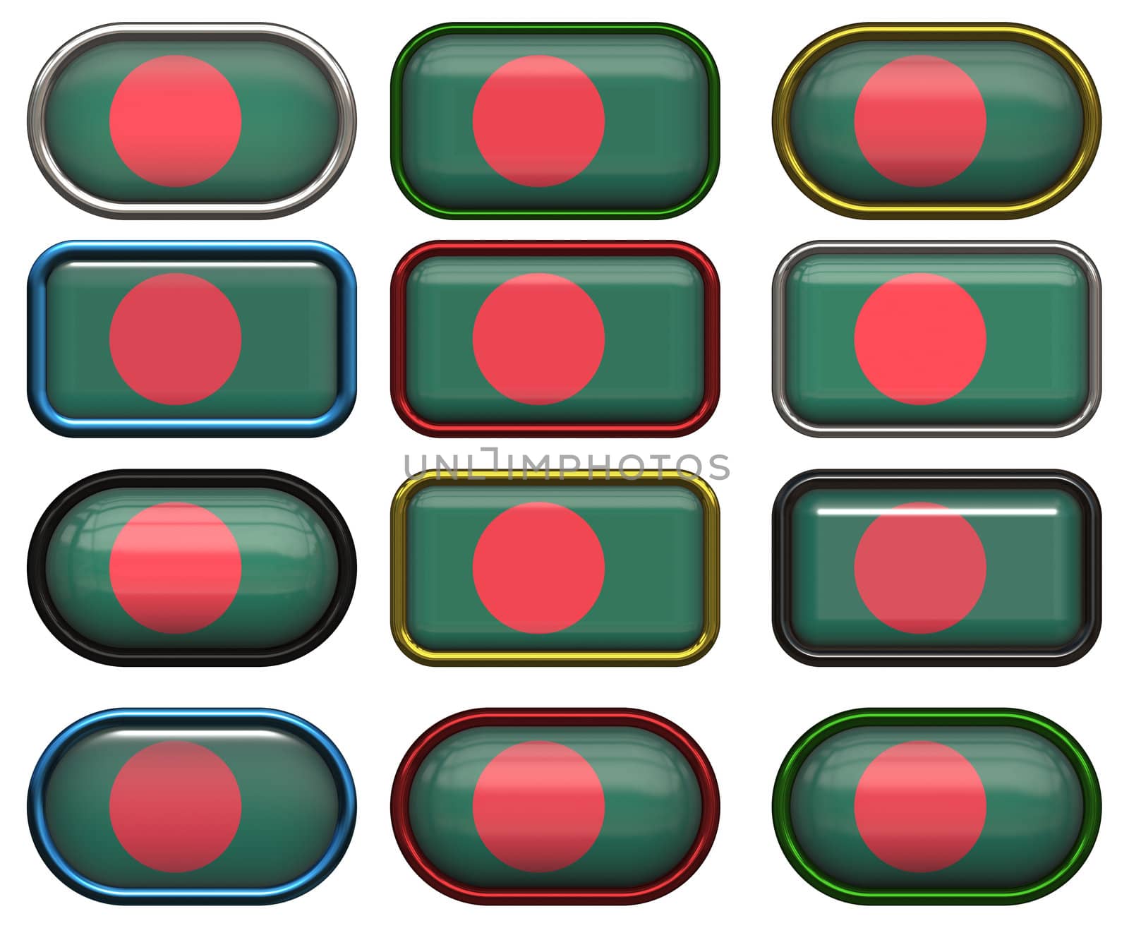twelve buttons of the  Flag of Bangladesh