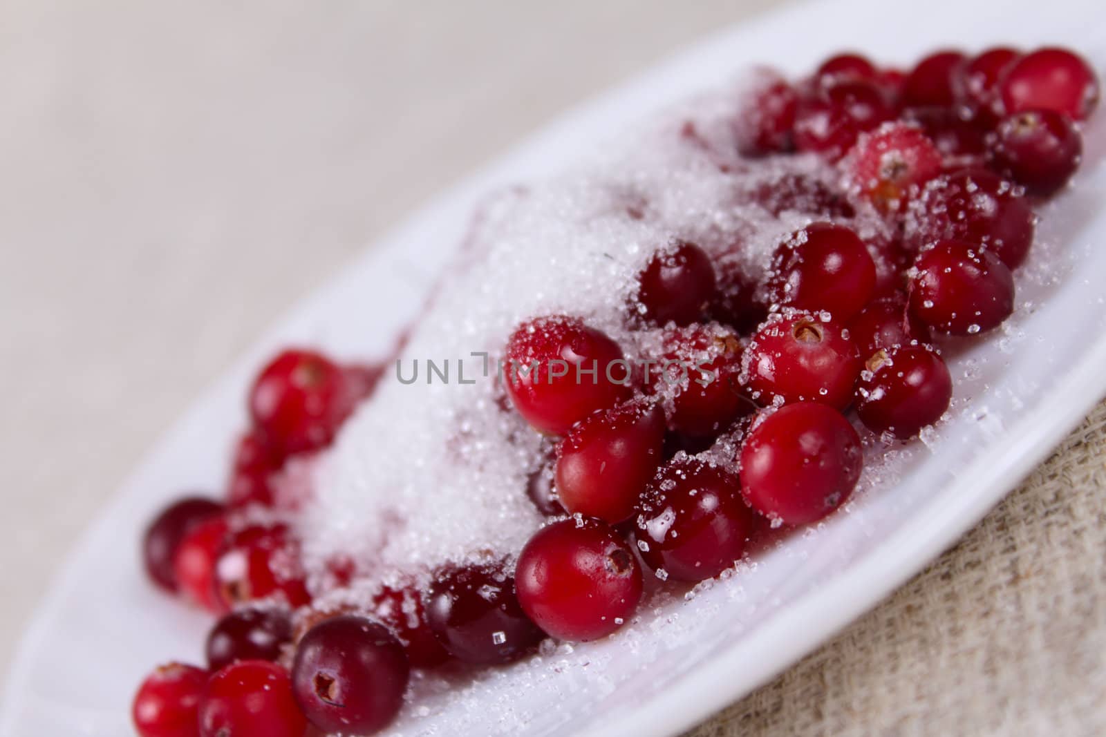 Cowberry in sugar on a white plate removed close up