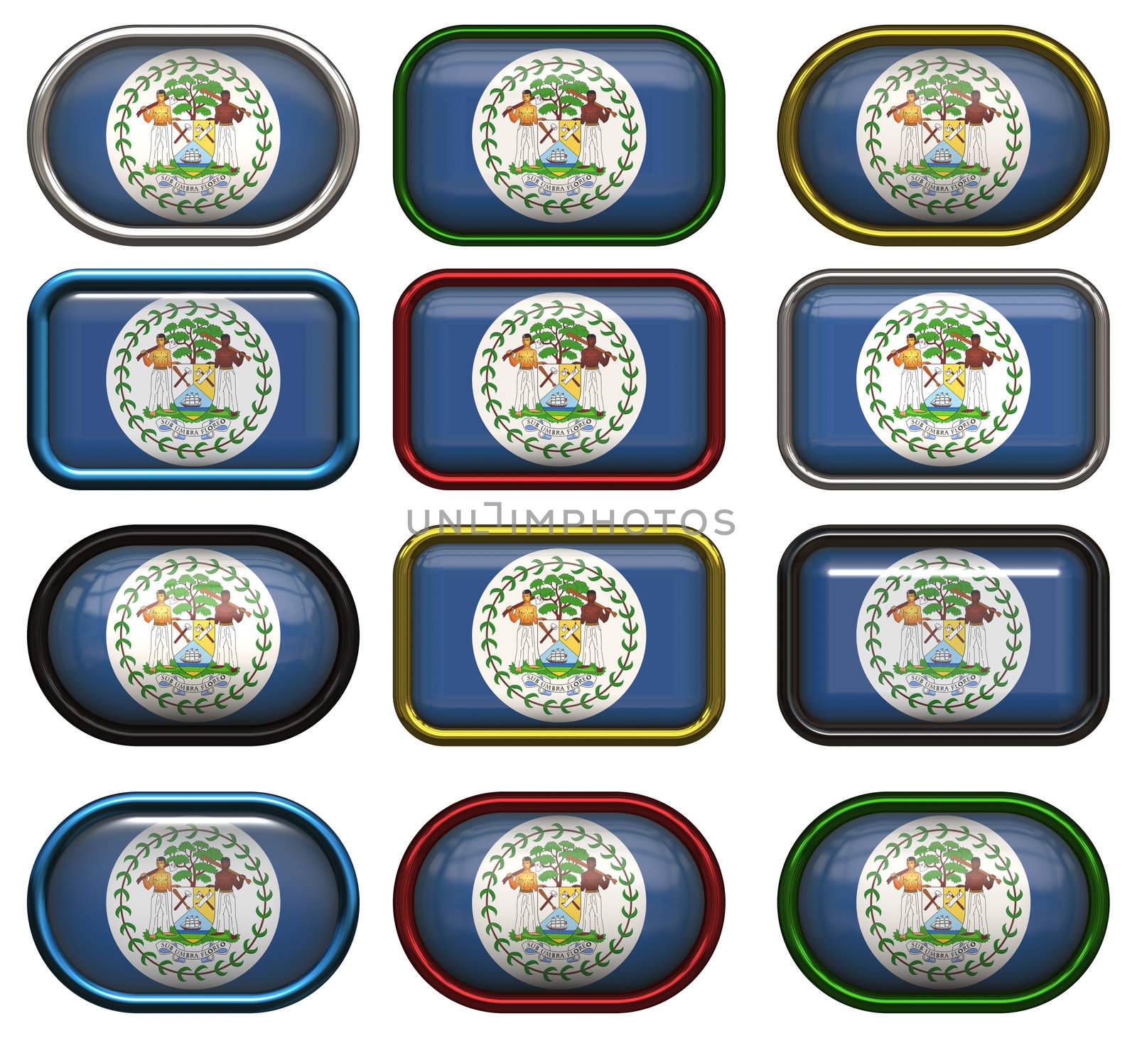 twelve buttons of the  Flag of Belize