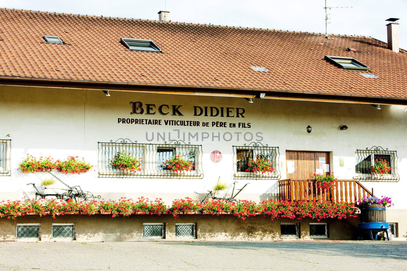 winery, Dieffenthal, Alsace, France
