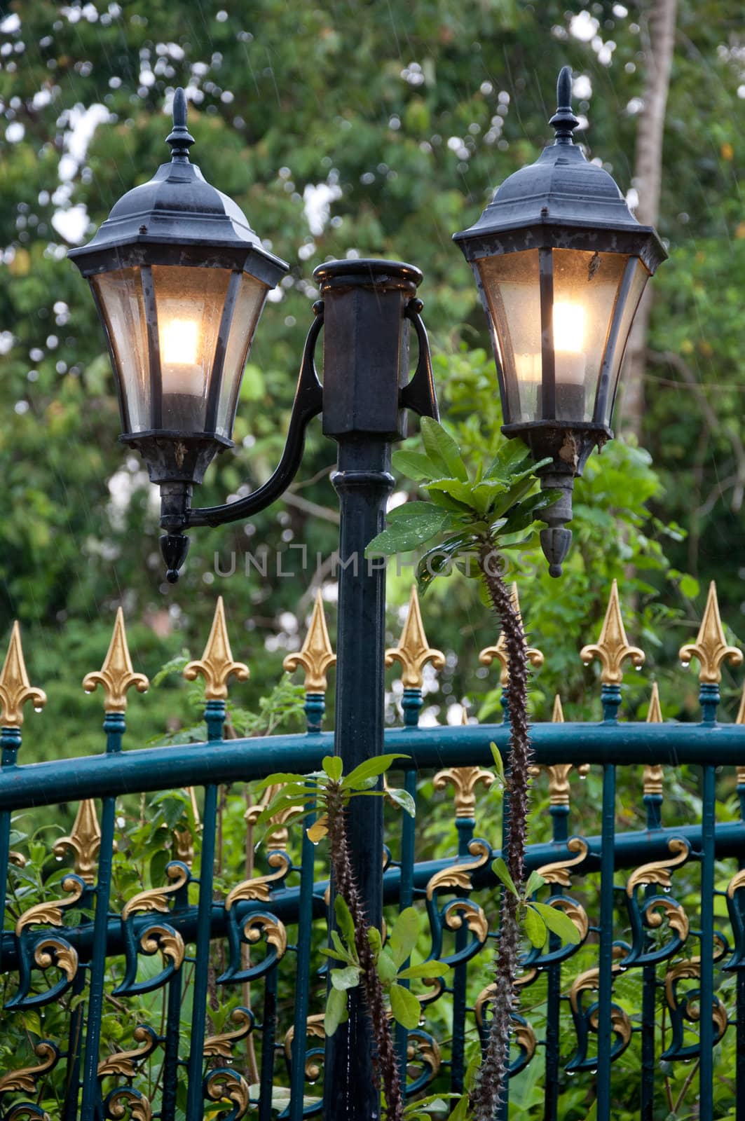 lamp light garden by ngarare