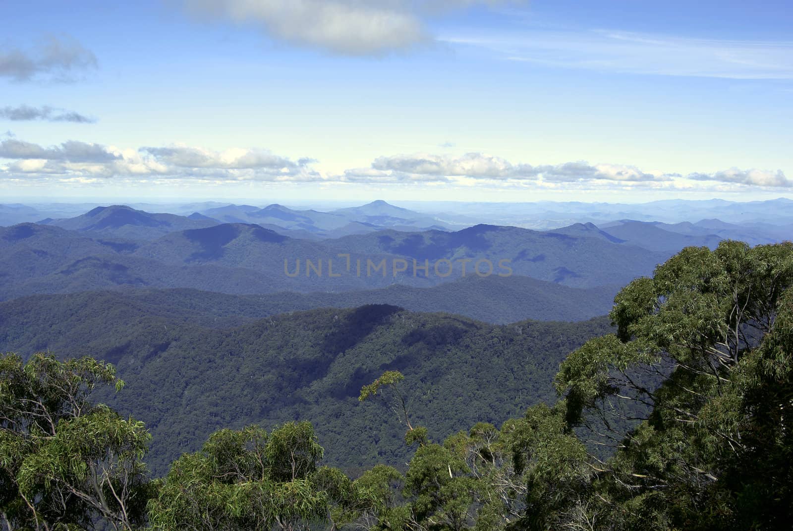 section of the view looking at the distant mountains (world heritage area) at point lookout with clouds at eye level