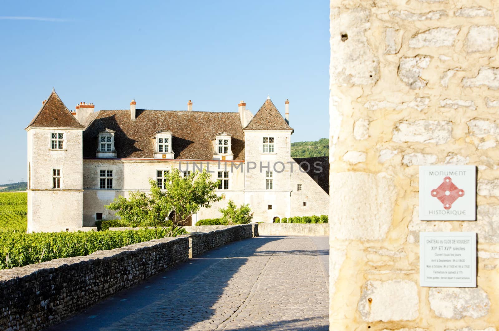 Clos Blanc De Vougeot Castle, Burgundy, France