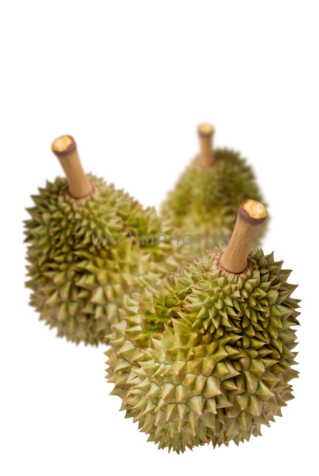 Group of Durians on white background