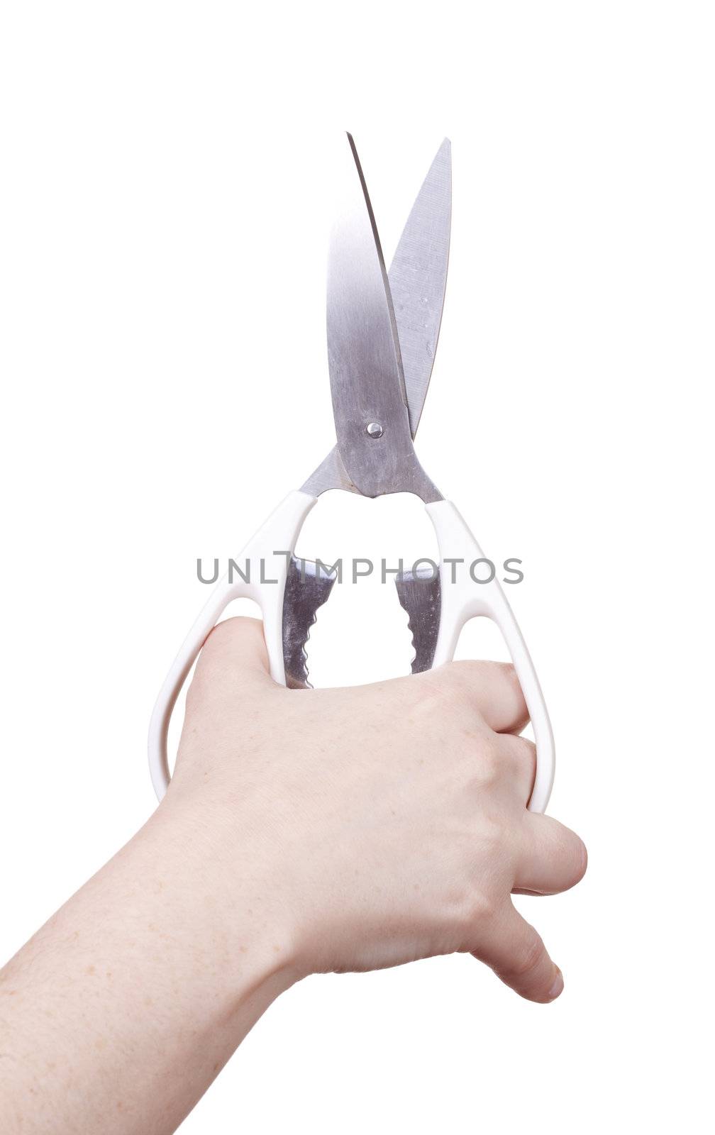 hand with scissors isolated over a withe background