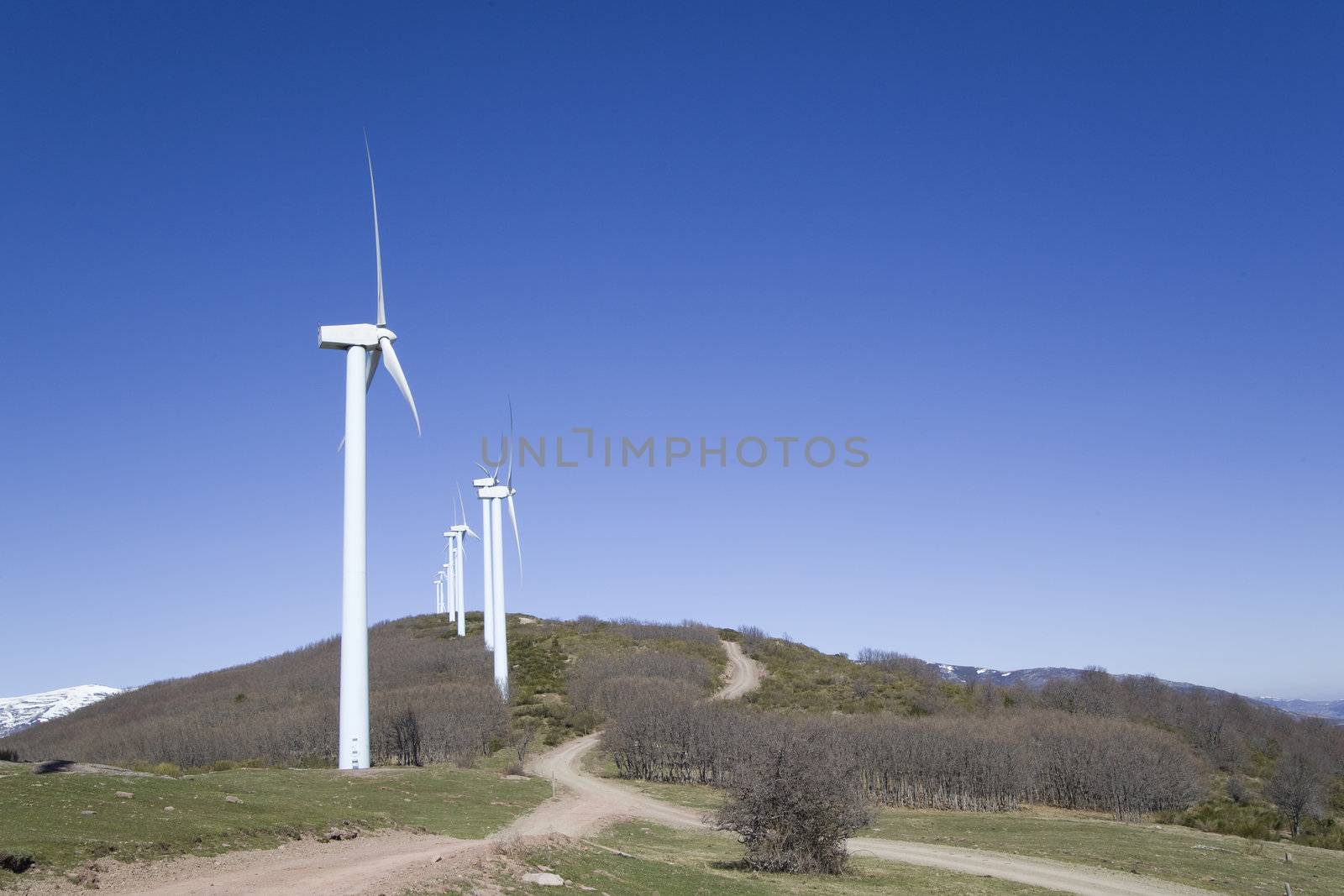 wind turbines renewable power over a blue sky 