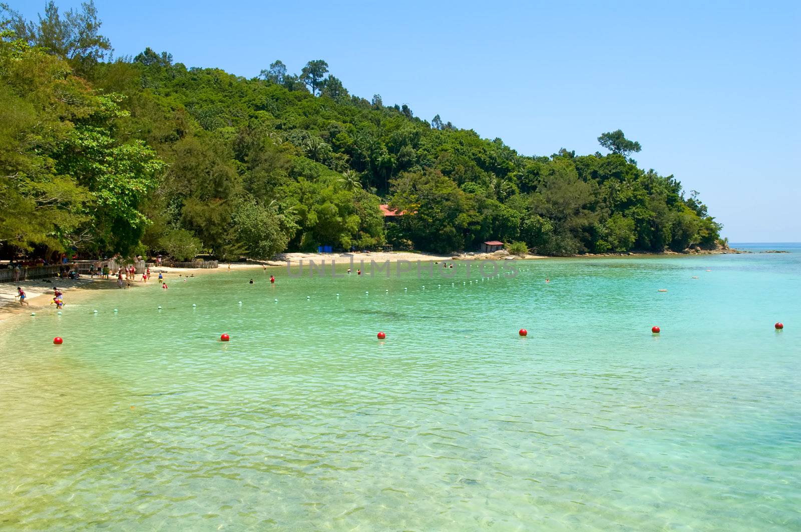 Beautiful beach with crystal clear blue waters