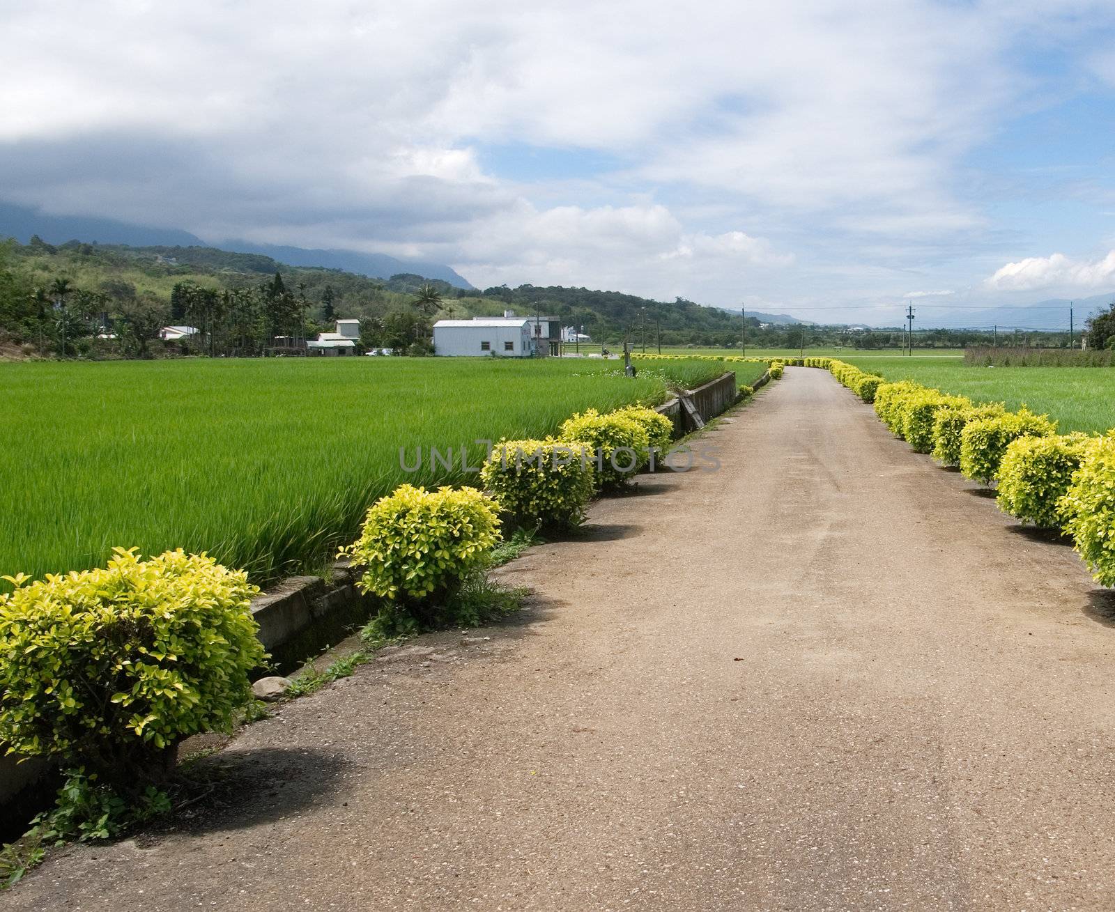 One road in the countryside to somewhere.