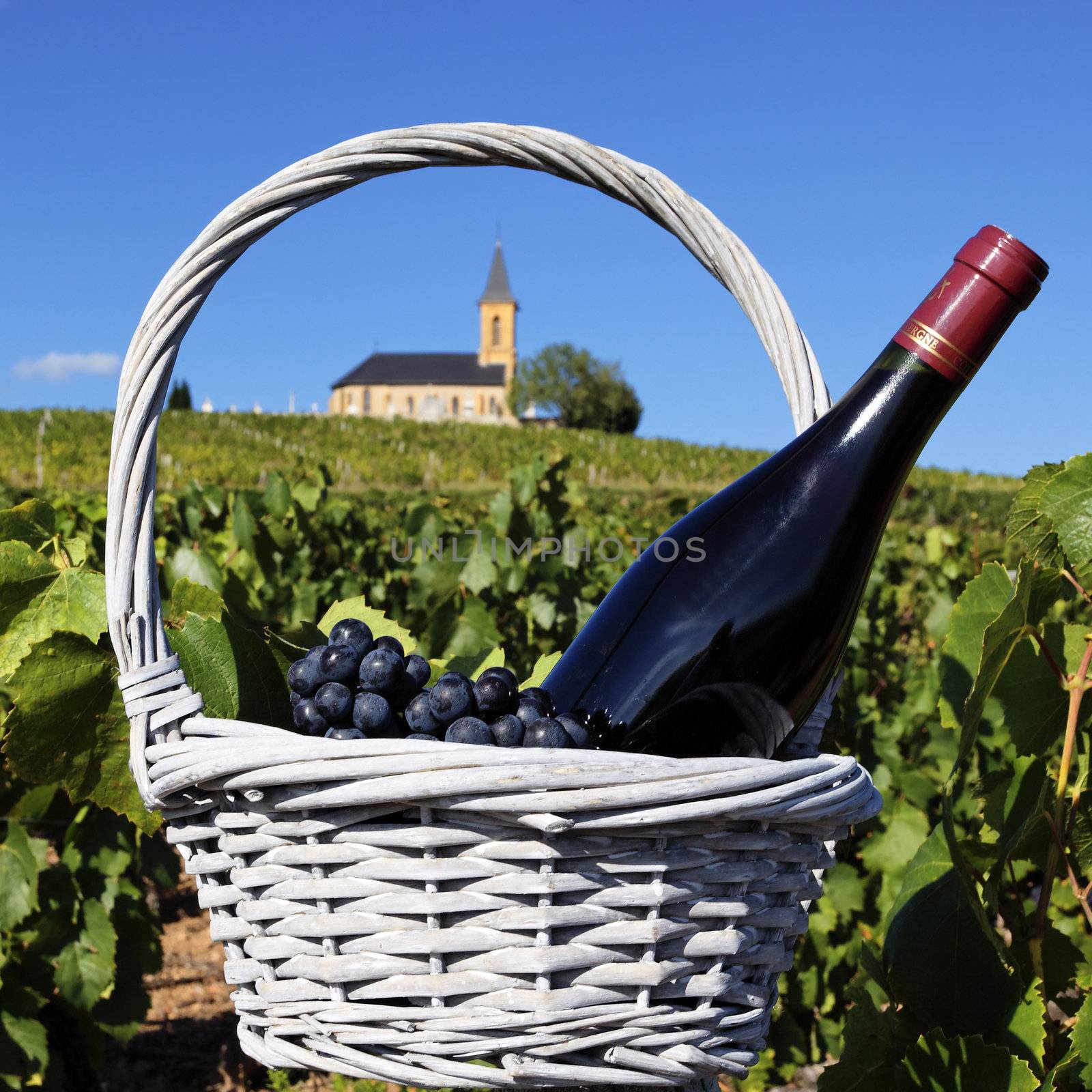 bottle of wine and grappes in basket and church