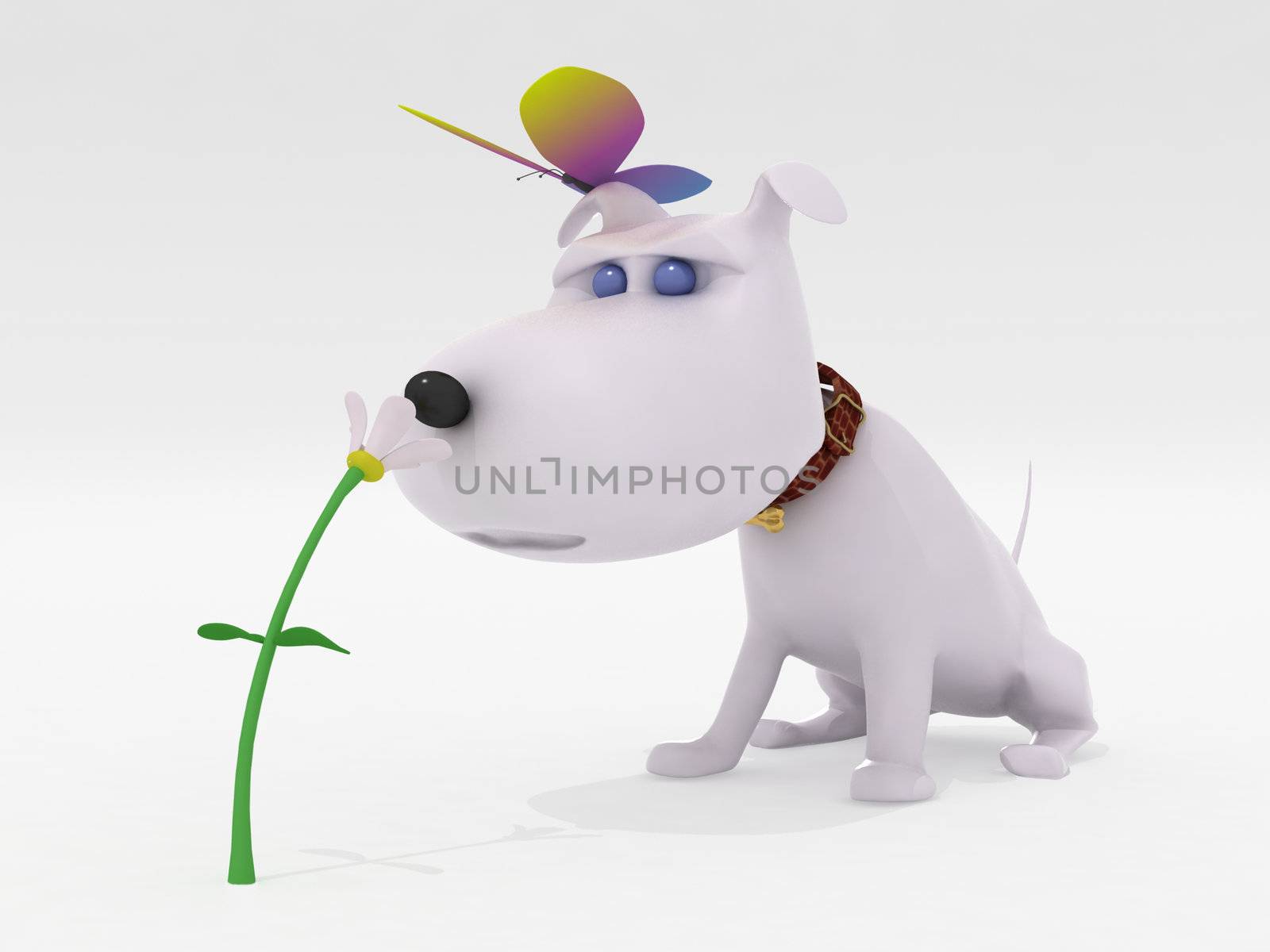 Dog, flower and butterfly on a white background