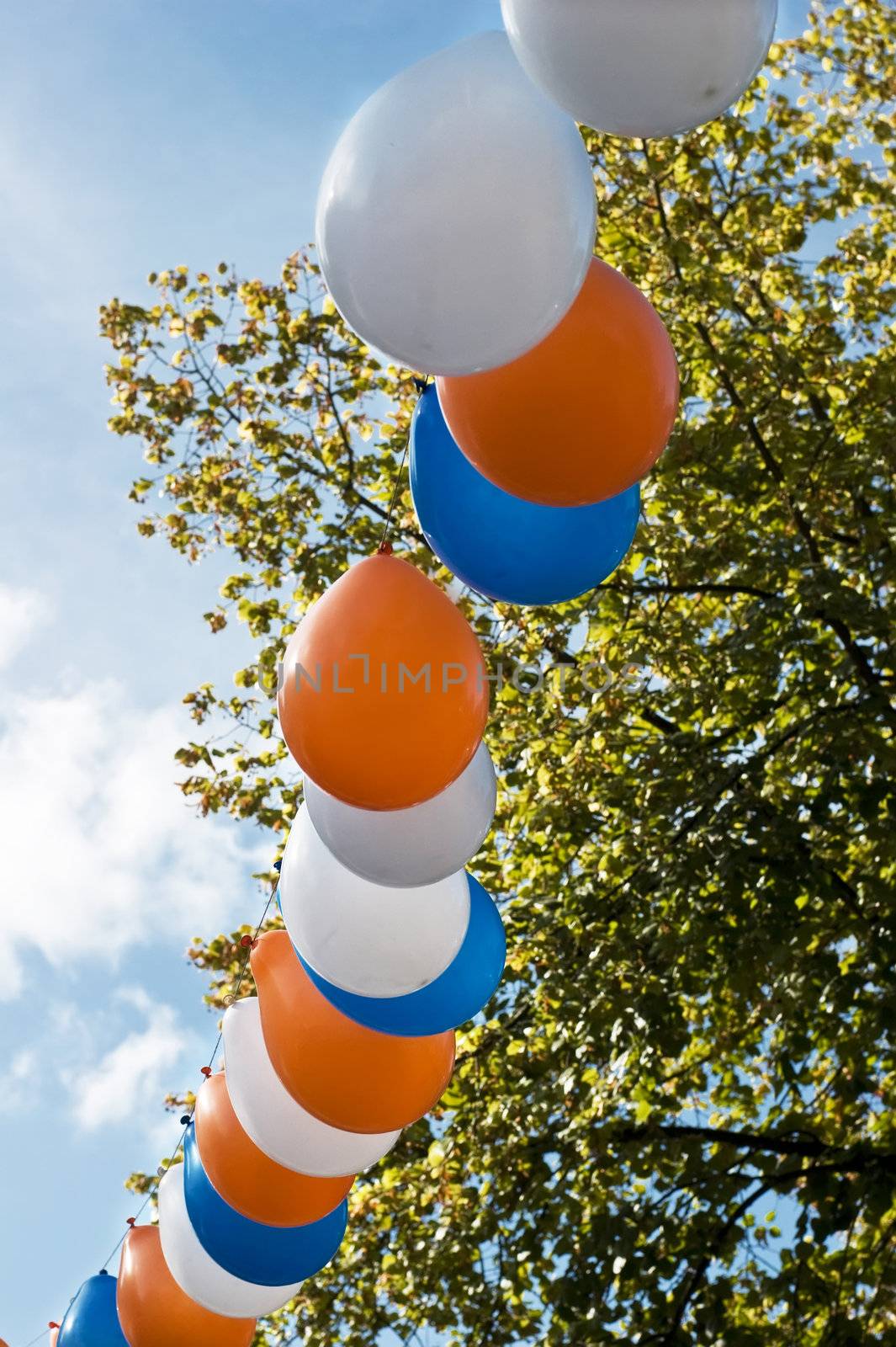 Blue, white and orange balloons hanging in line in front of a blue sky and a tree. Focus on the balloons in the middle.