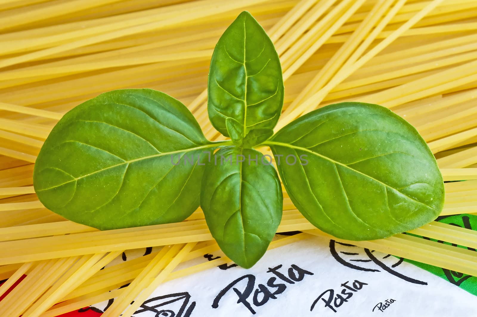 spaghetti and basil by Jochen