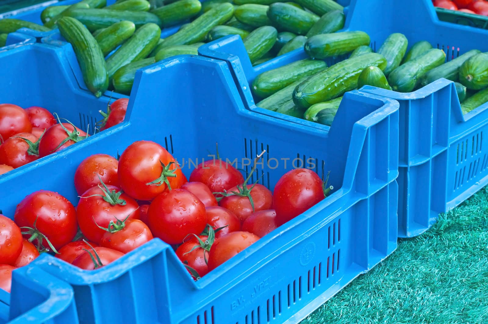 tomato and cucumber by Jochen