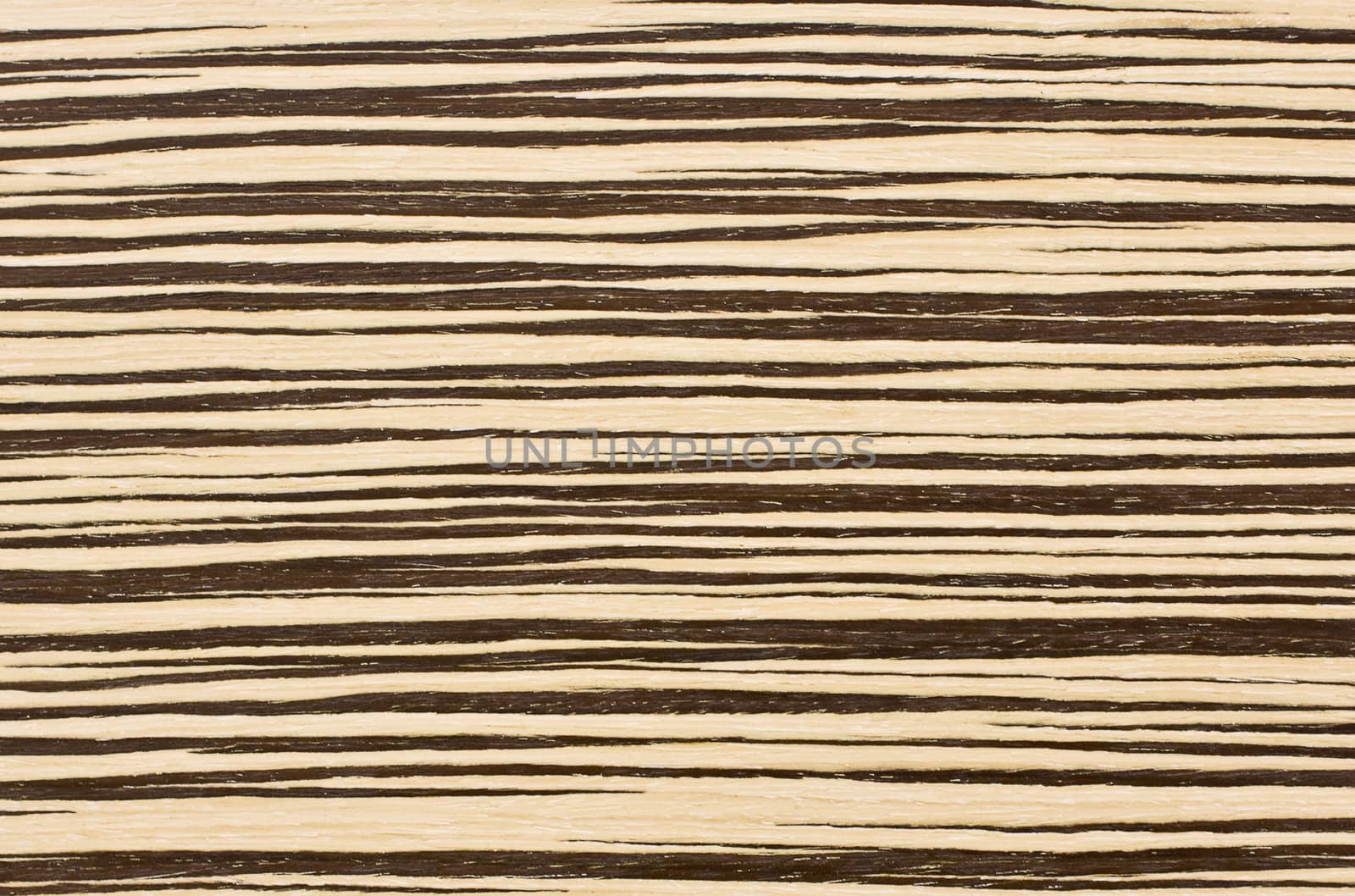 Close-up zebra wood texture for background