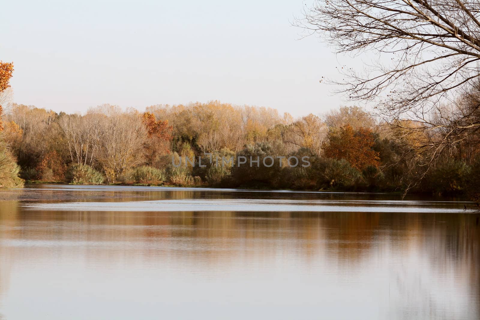 Landscape of a river on autumn, beautiful reflections and colors.
