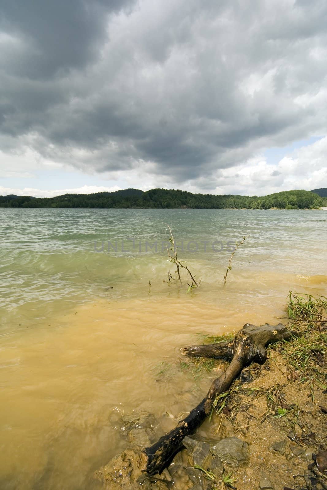 Piece of wood in lake with stormy clouds