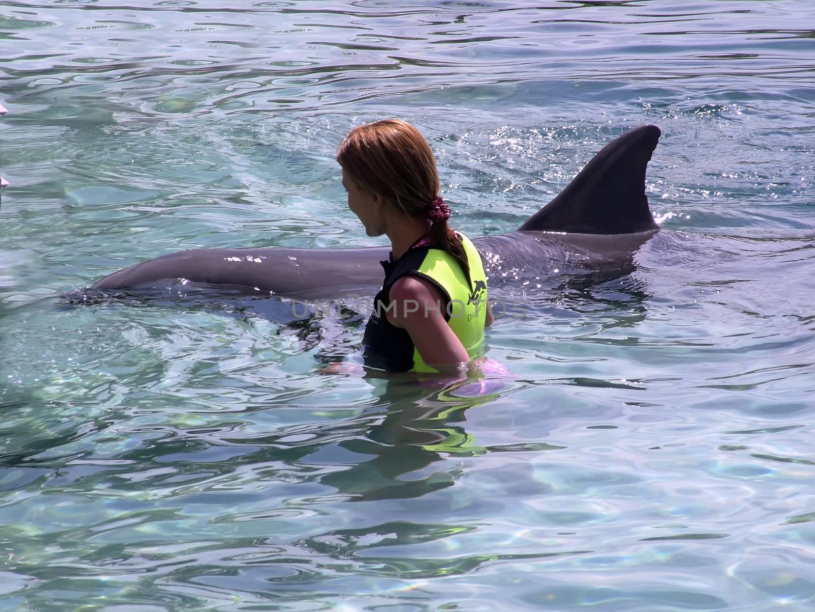 Man's greatest aquatic friend in various situations - The Bottlenose Dolphin