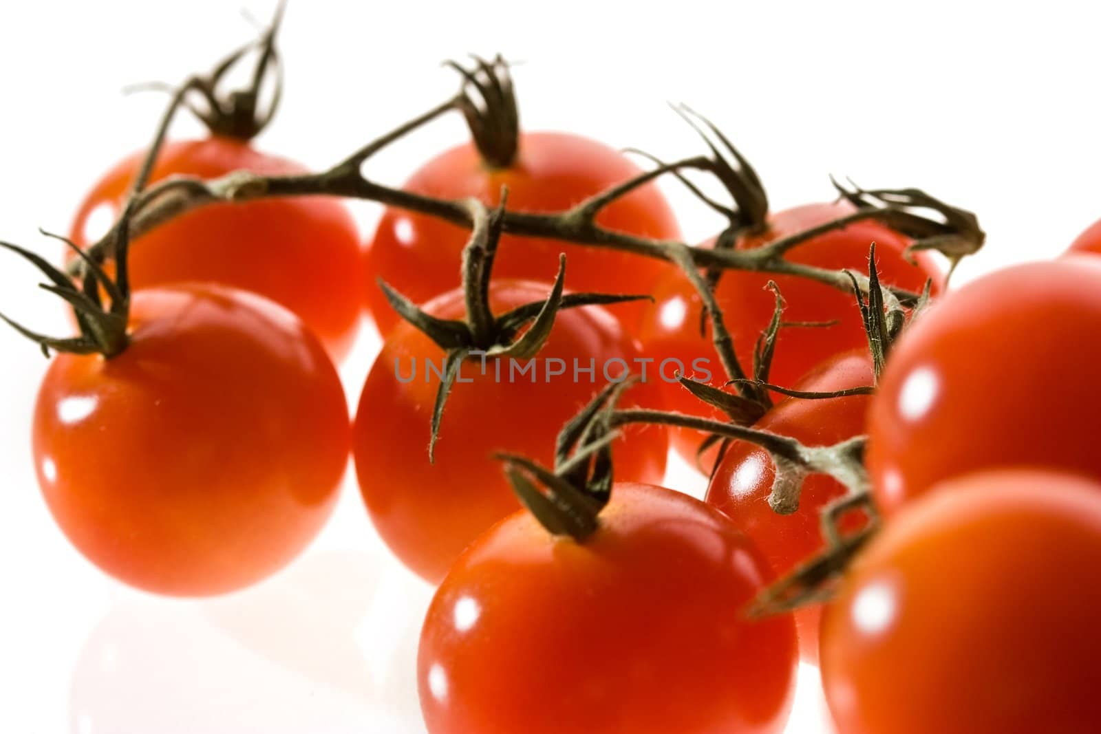food series: branch of red tomato over white
