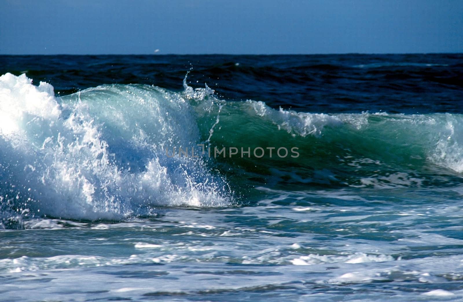 Breaking wave on Pacific shore
