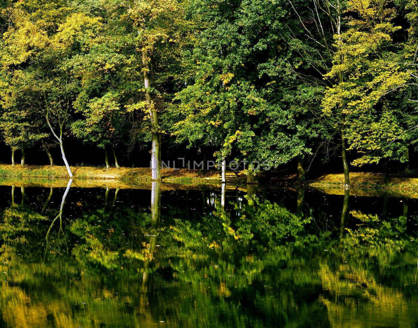 Autumn with a lake