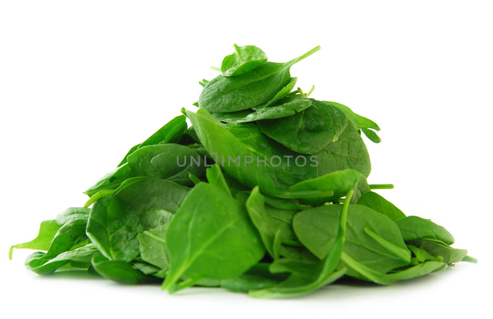 Pile of spinach isolated on white background