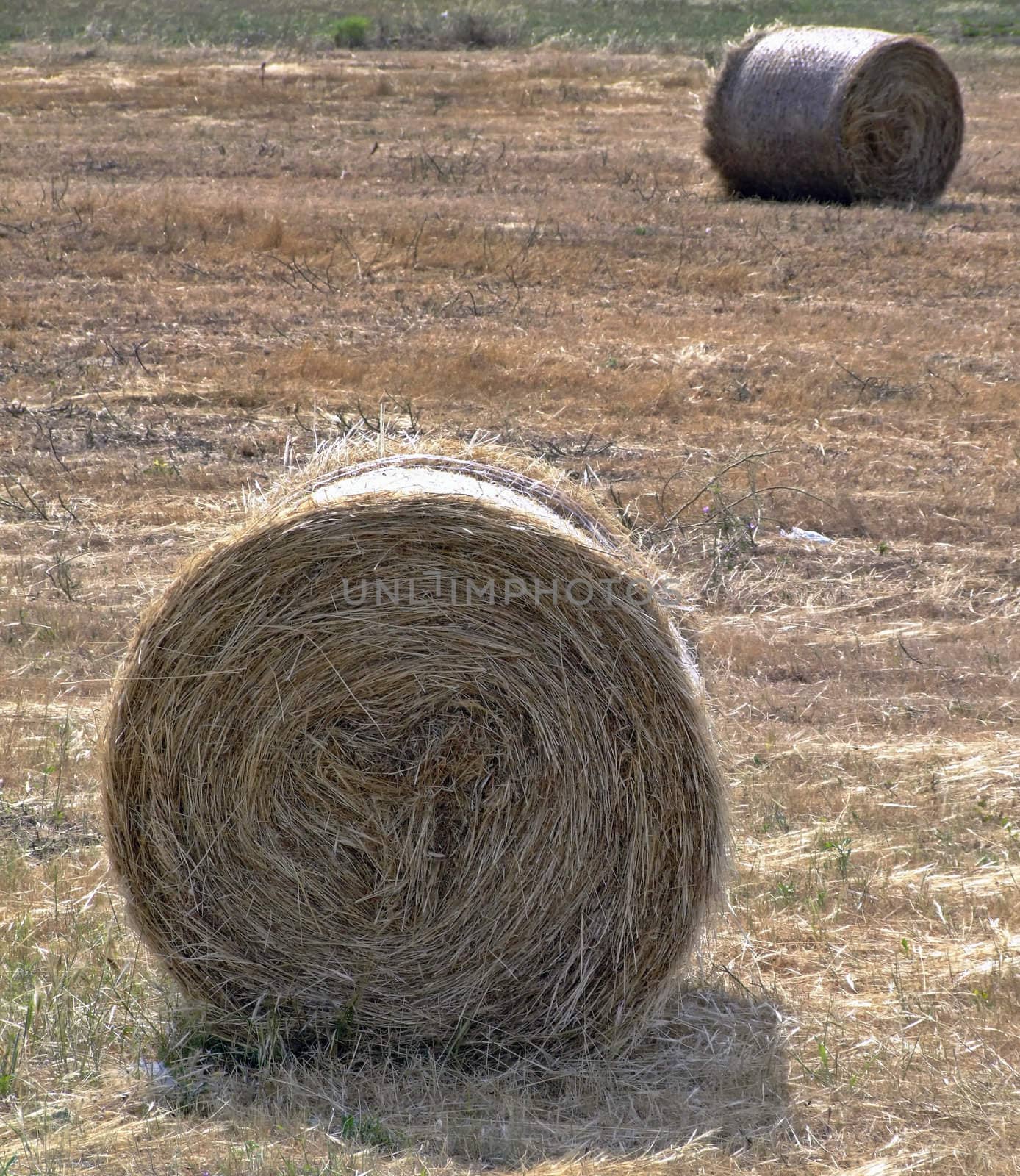 Haystacks by PhotoWorks