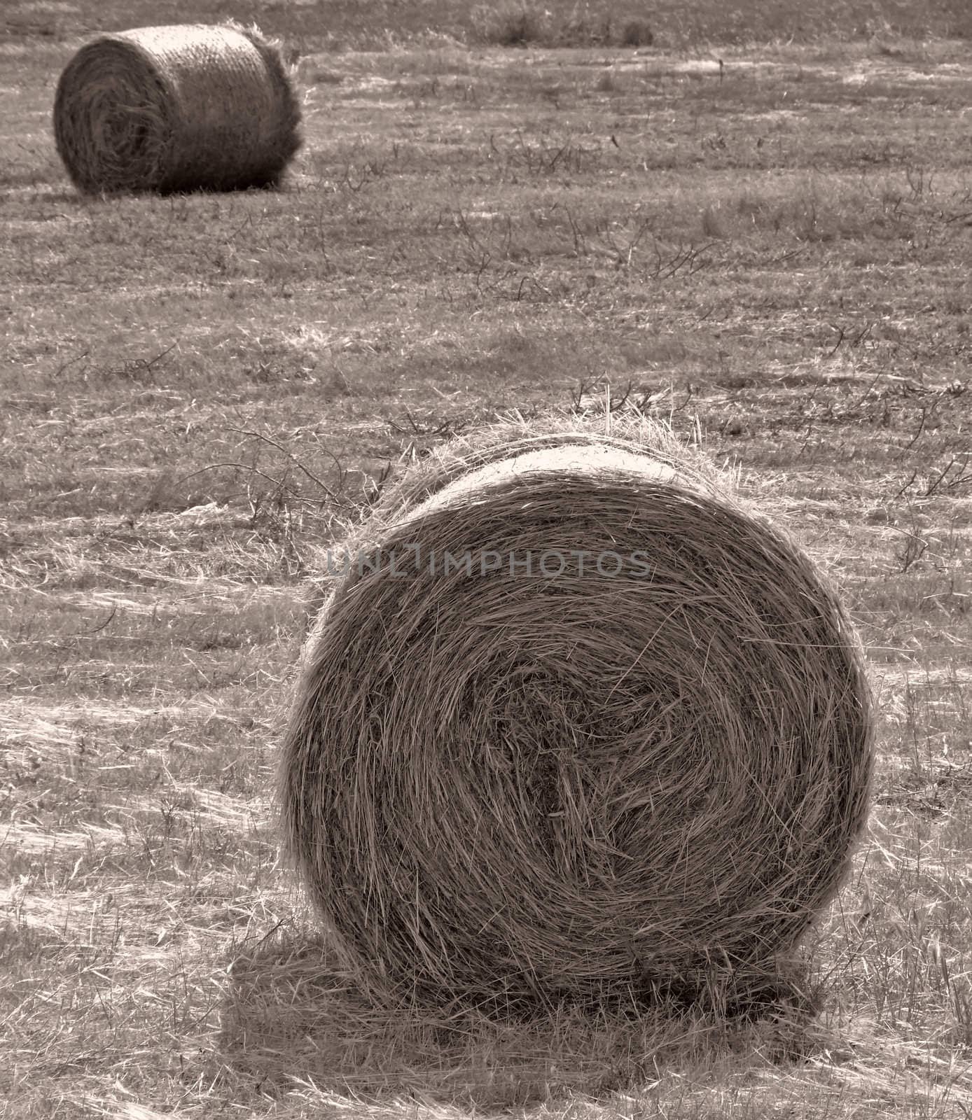 Haystacks by PhotoWorks