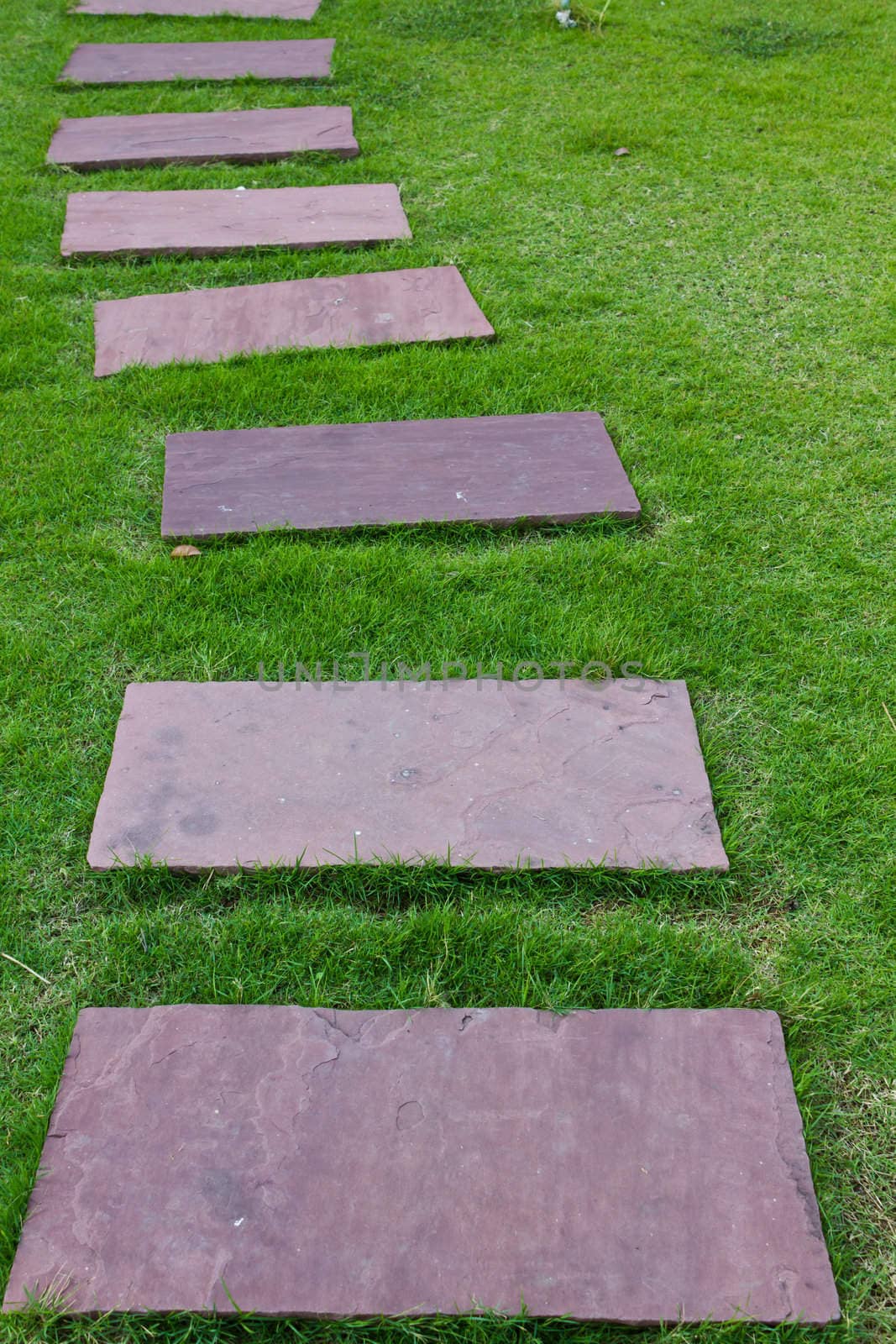 Walkway in the garden, Slab pavement on the grass