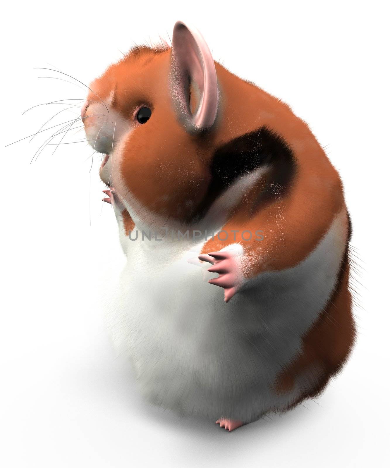 A hamster turned to the side looking happy, possibly waving at someone, or looking at text or design elements to the left. 