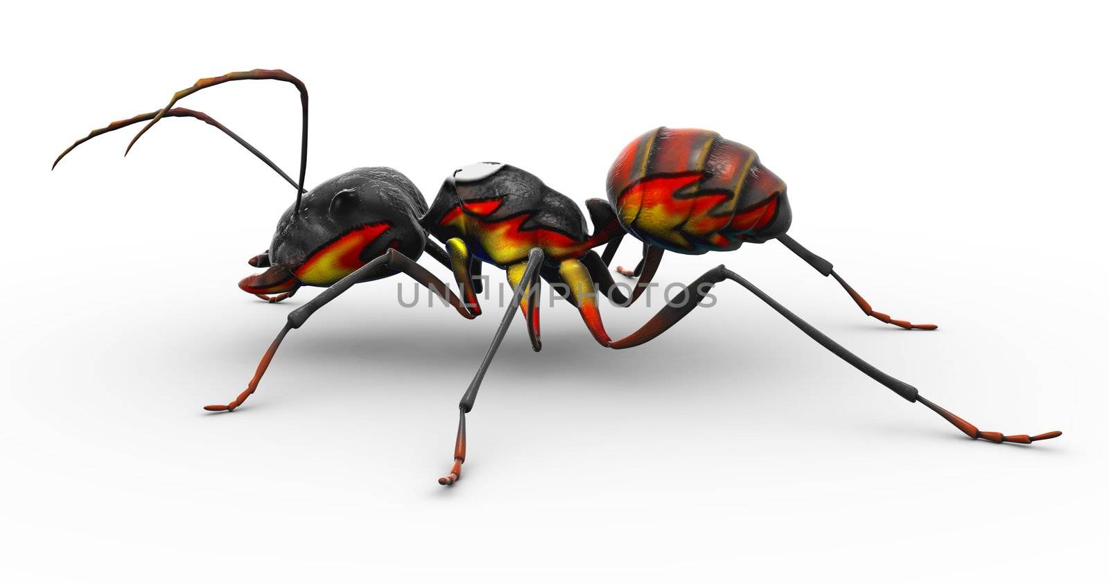 An ant with flames painted onto his body, making him resemble the familiar "fire ant"