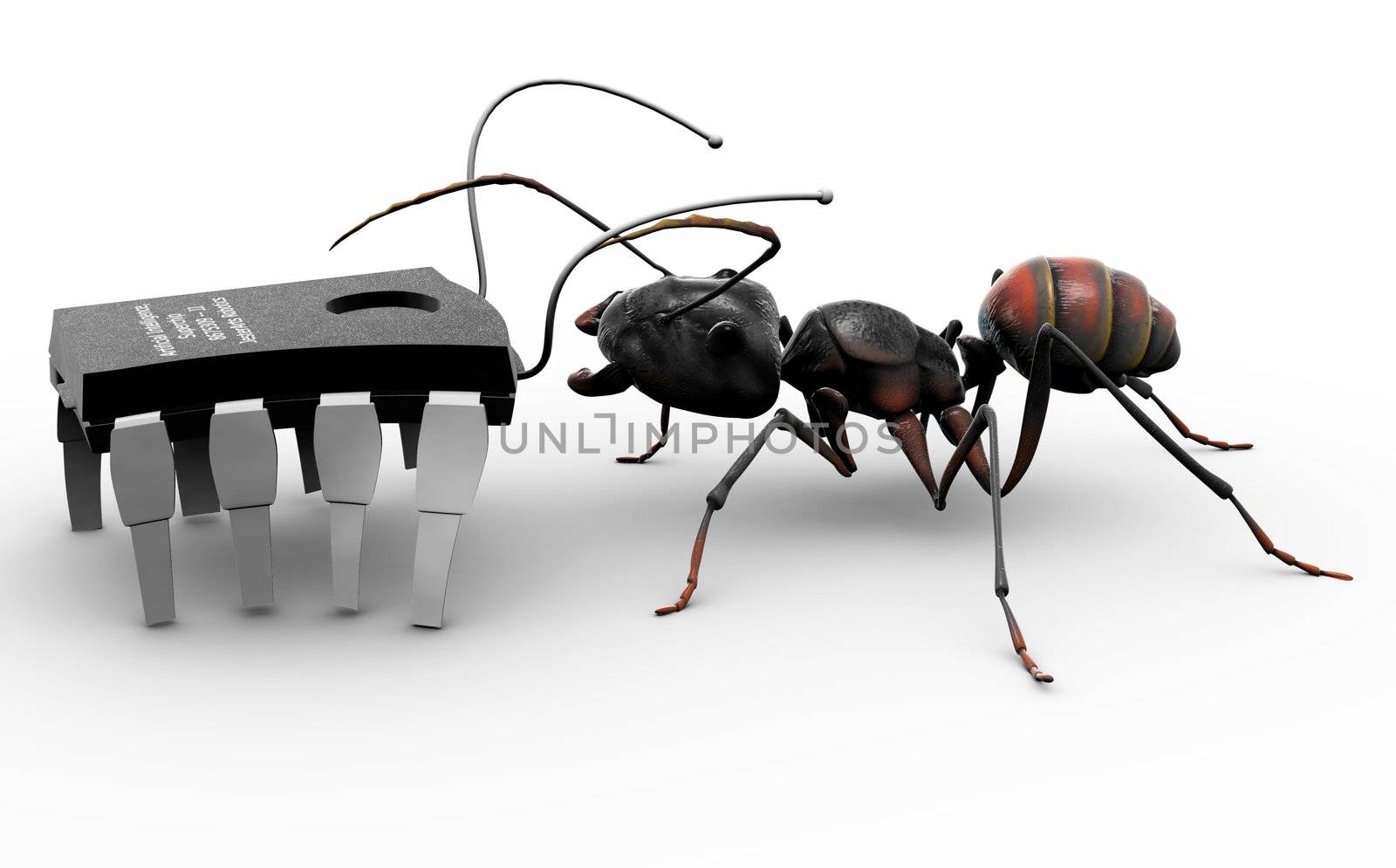 Ant Meeting Computer Bug by LeoBlanchette