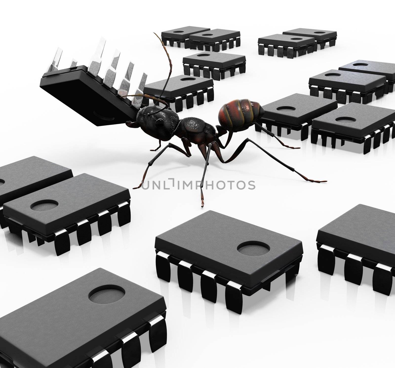 An ant carefully organizing microchips one by one. He is a bug, which makes an interesting spin on the old "computer bug" concept. 
